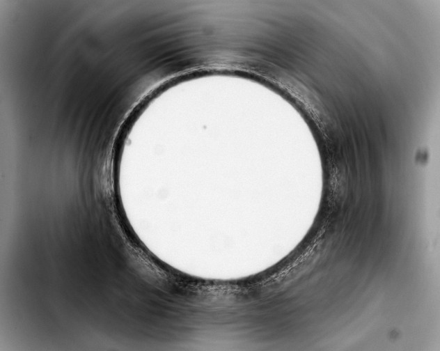 X0000103900934200810101242