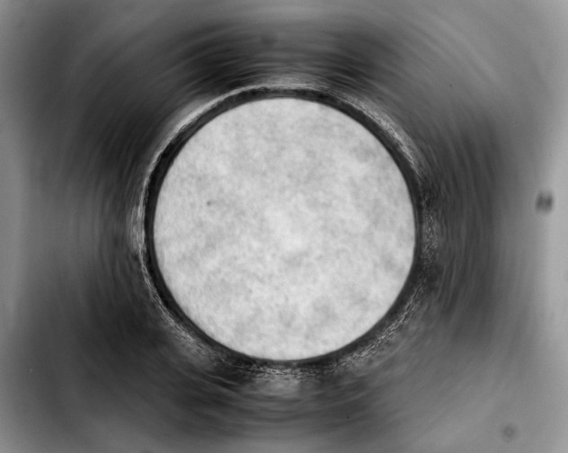 X0000103900935200810101242