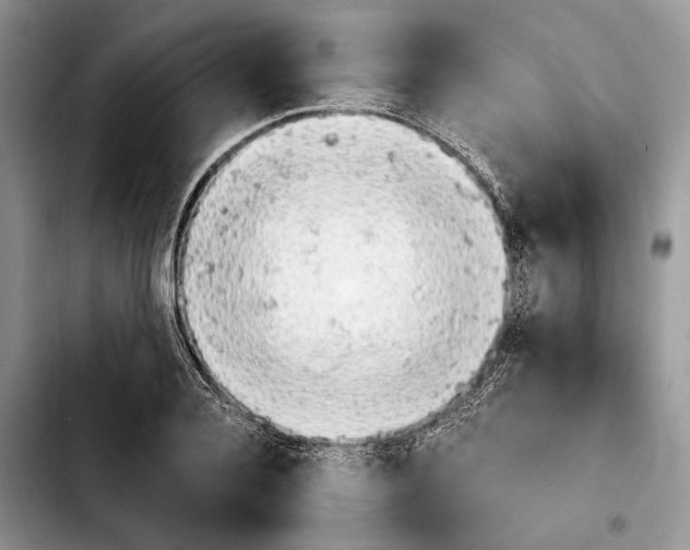 X0000103900936200810101242