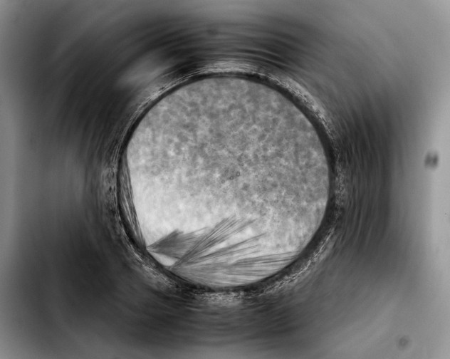 X0000103900937200810101242