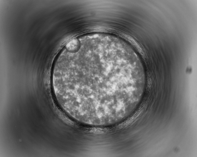 X0000103900938200810101242