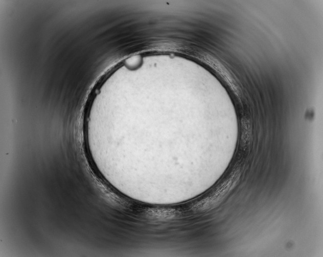 X0000103900939200810101242