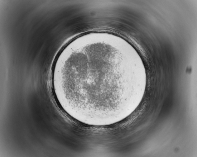 X0000103900940200810101242