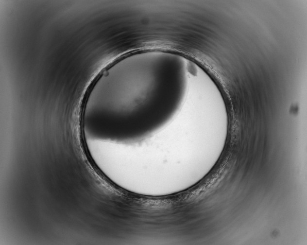 X0000103900941200810101242