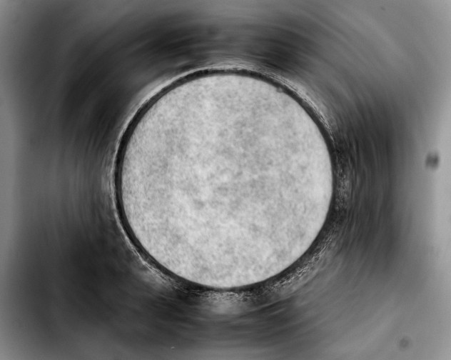 X0000103900943200810101242