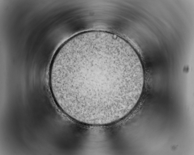 X0000103900944200810101242