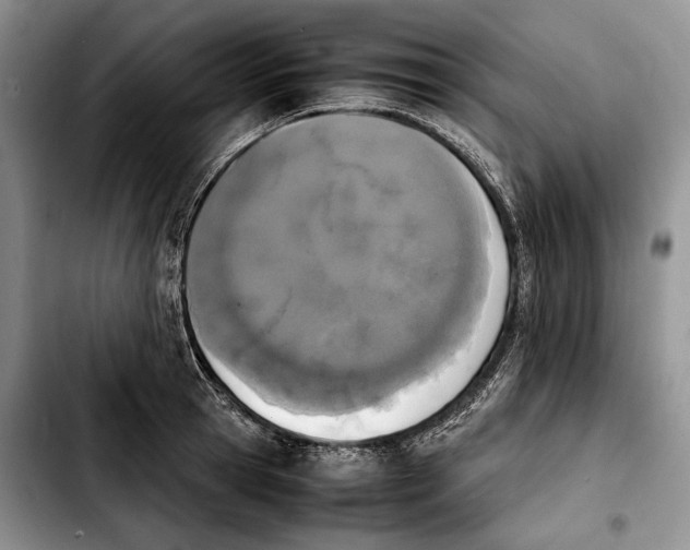 X0000103900945200810101242