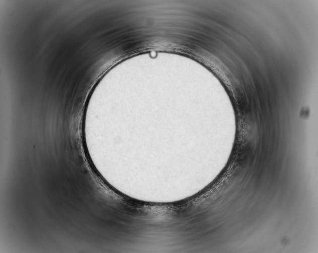 X0000103900946200810101242