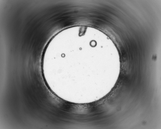 X0000103900947200810101242