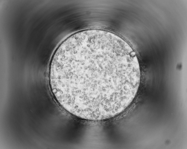 X0000103900948200810101242