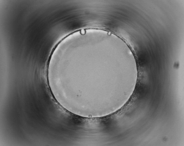 X0000103900952200810101242