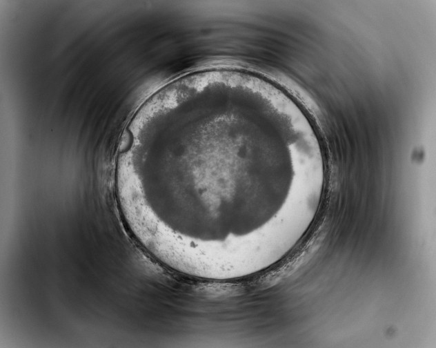 X0000103900953200810101242