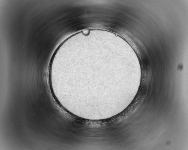 X0000103900955200810101242