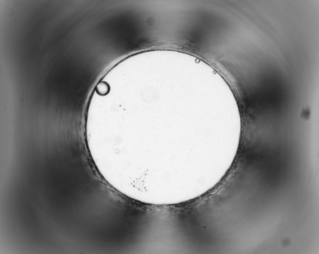 X0000103900956200810101242