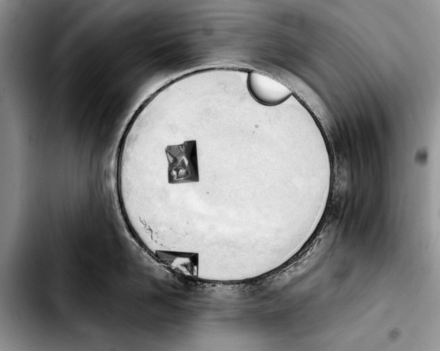 X0000103900958200810101242