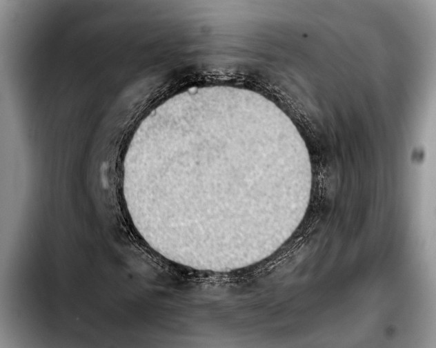 X0000103900961200810101242