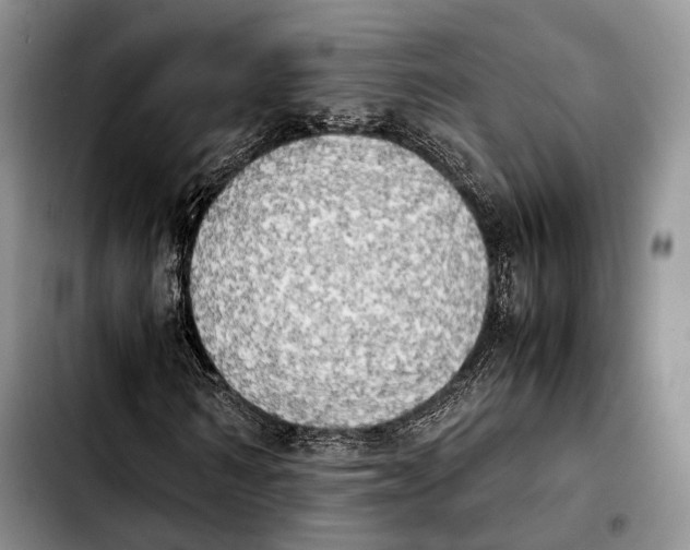 X0000103900962200810101241