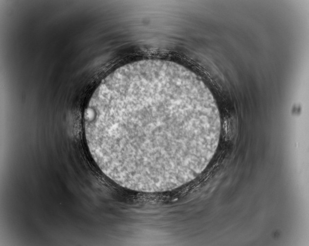 X0000103900963200810101241