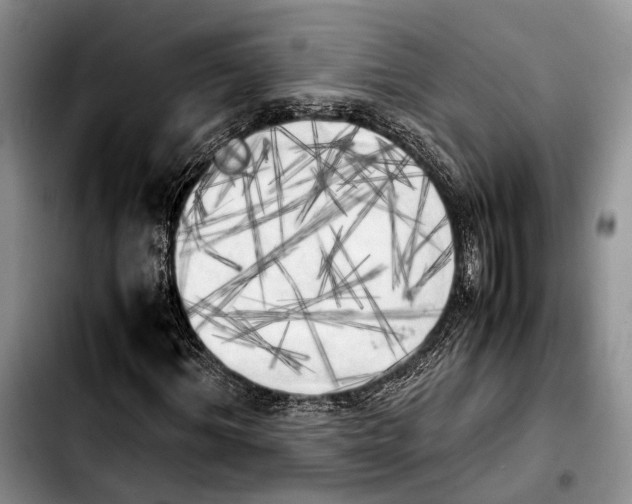 X0000103900964200810101241