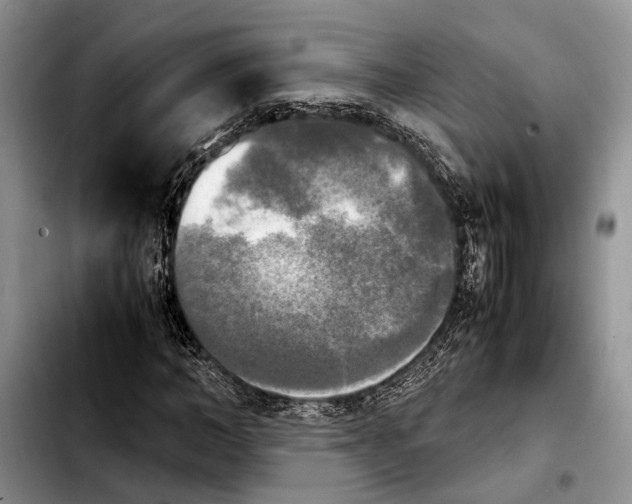 X0000103900966200810101241