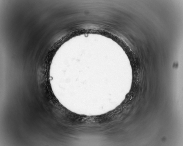 X0000103900967200810101241