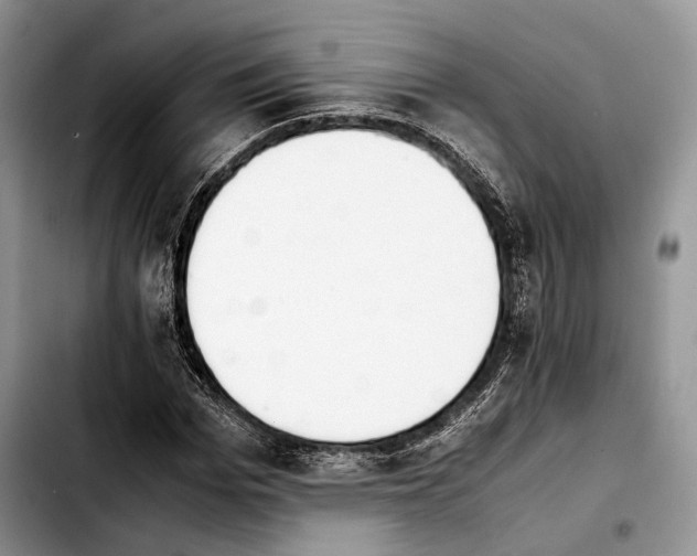 X0000103900969200810101241