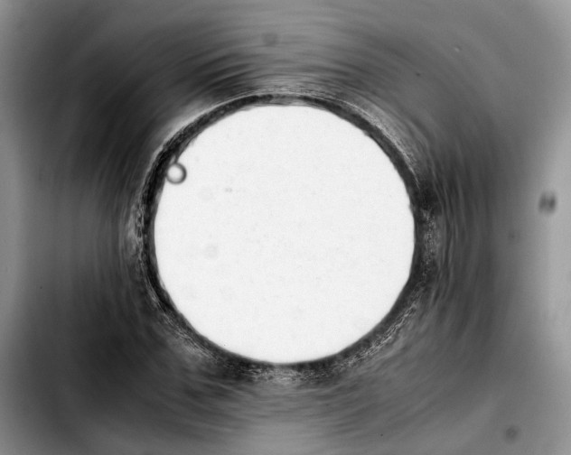 X0000103900971200810101241