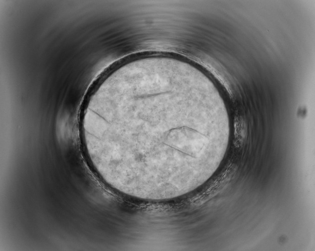 X0000103900972200810101241