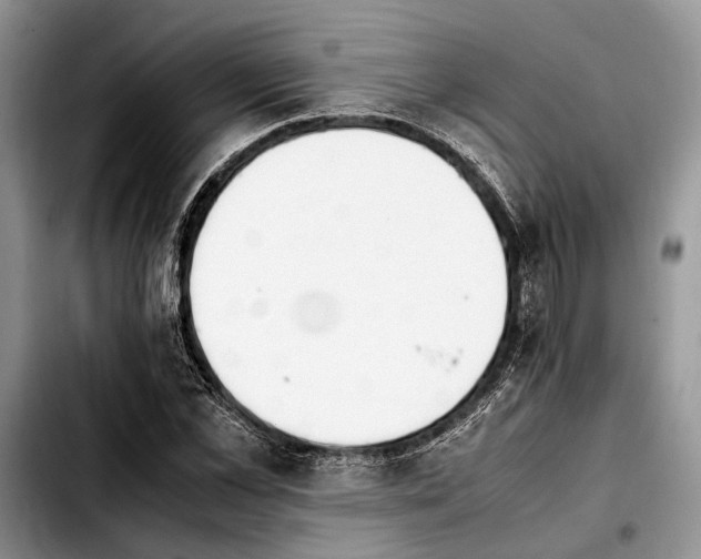 X0000103900973200810101241