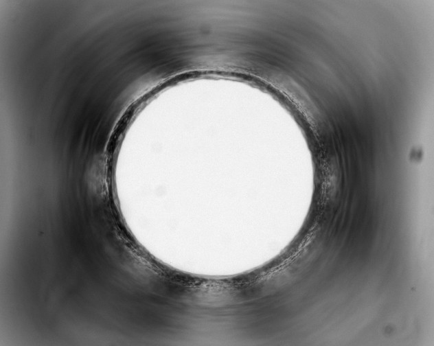 X0000103900974200810101241