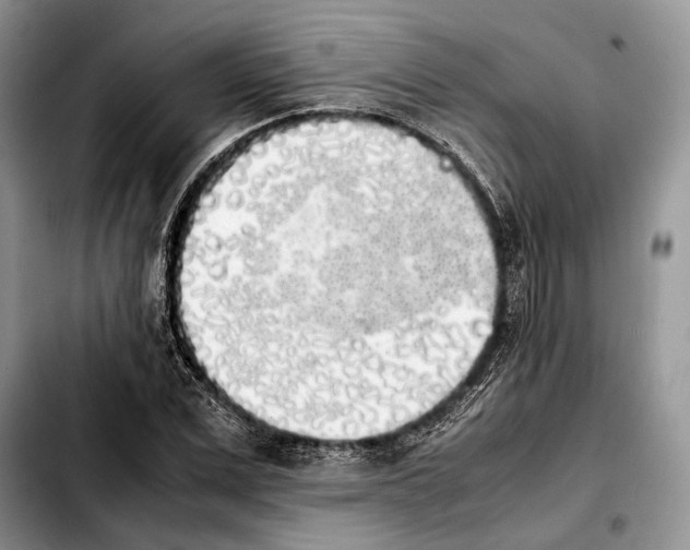 X0000103900975200810101241