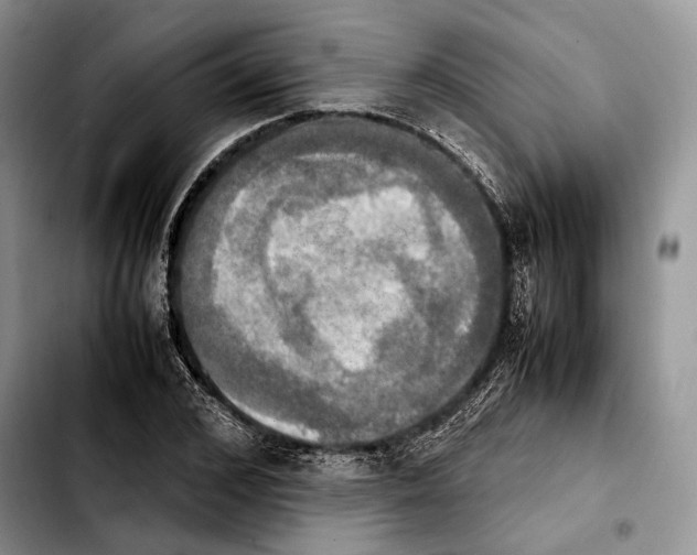 X0000103900976200810101241