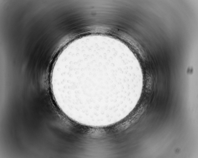 X0000103900978200810101241