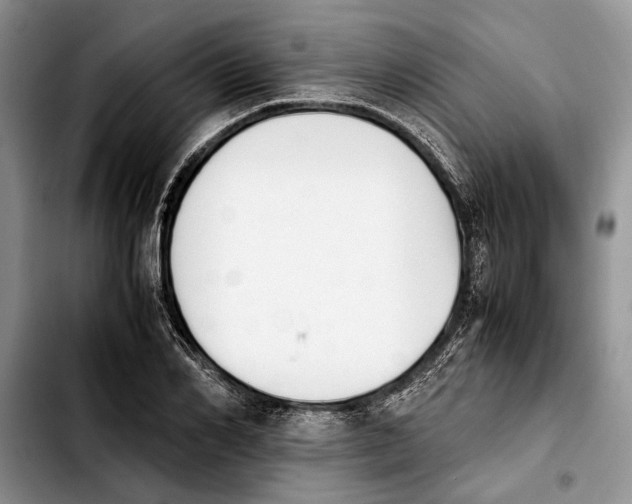 X0000103900982200810101241