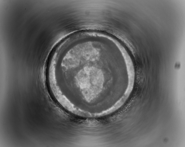 X0000103900983200810101241