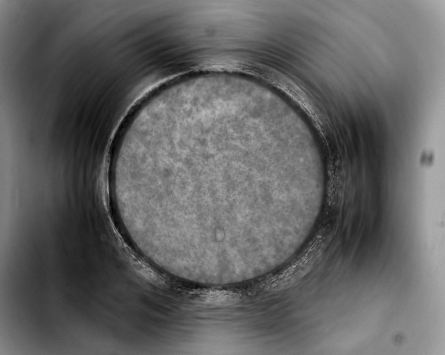 X0000103900984200810101241