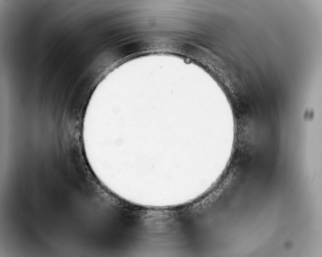 X0000103900985200810101241