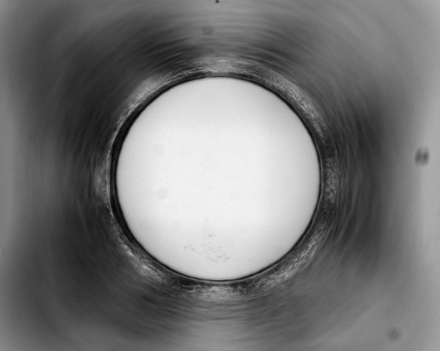 X0000103900986200810101241