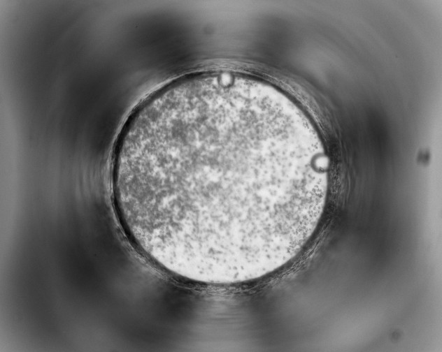 X0000103900987200810101241