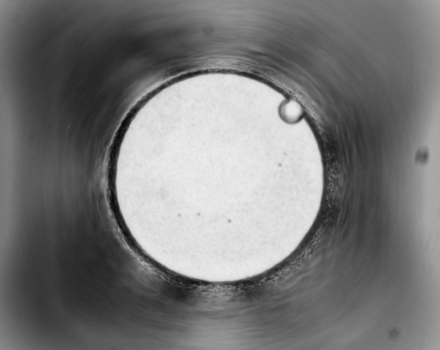 X0000103900991200810101241