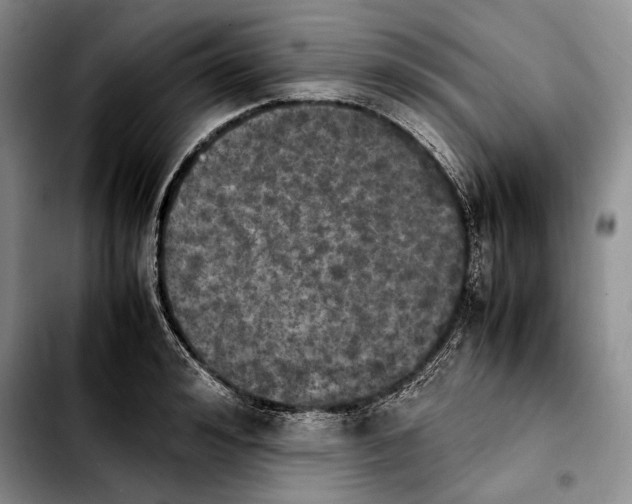 X0000103900992200810101241