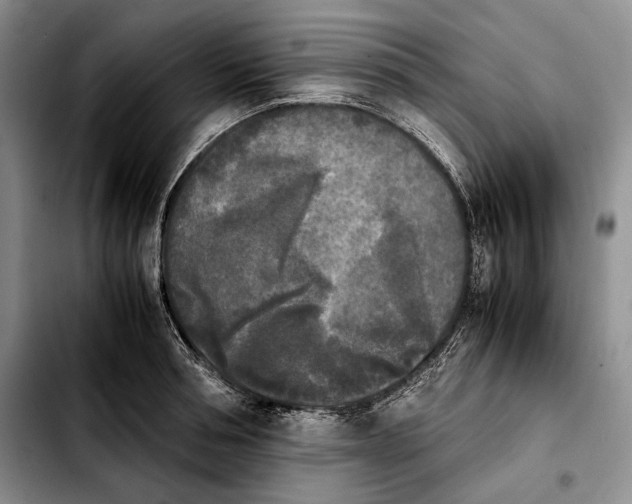 X0000103900994200810101241