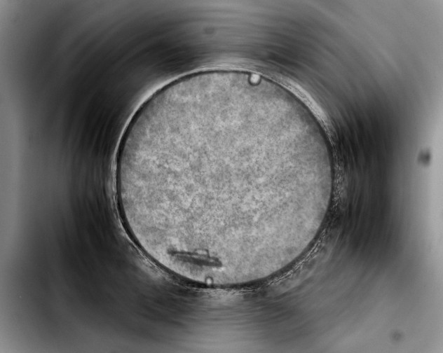 X0000103900996200810101241