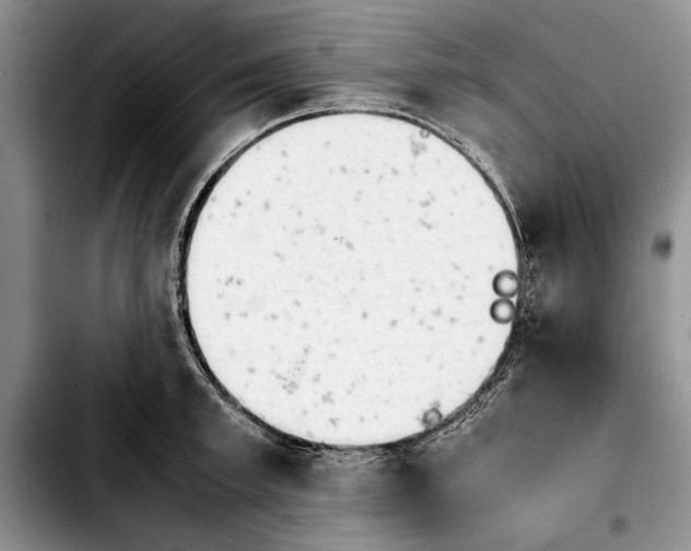 X0000103900997200810101241