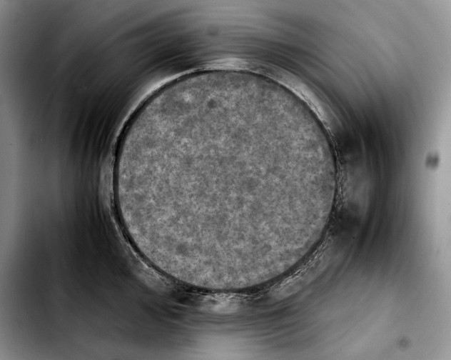 X0000103901000200810101241