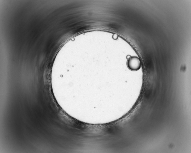 X0000103901001200810101241