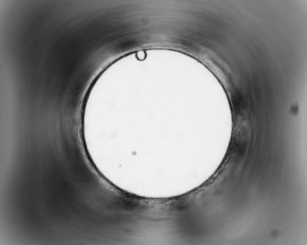 X0000103901005200810101241