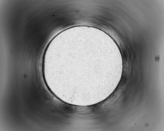 X0000103901007200810101241