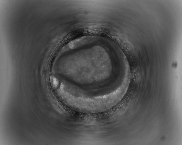 X0000103901009200810101240