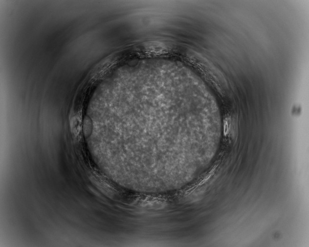 X0000103901011200810101240